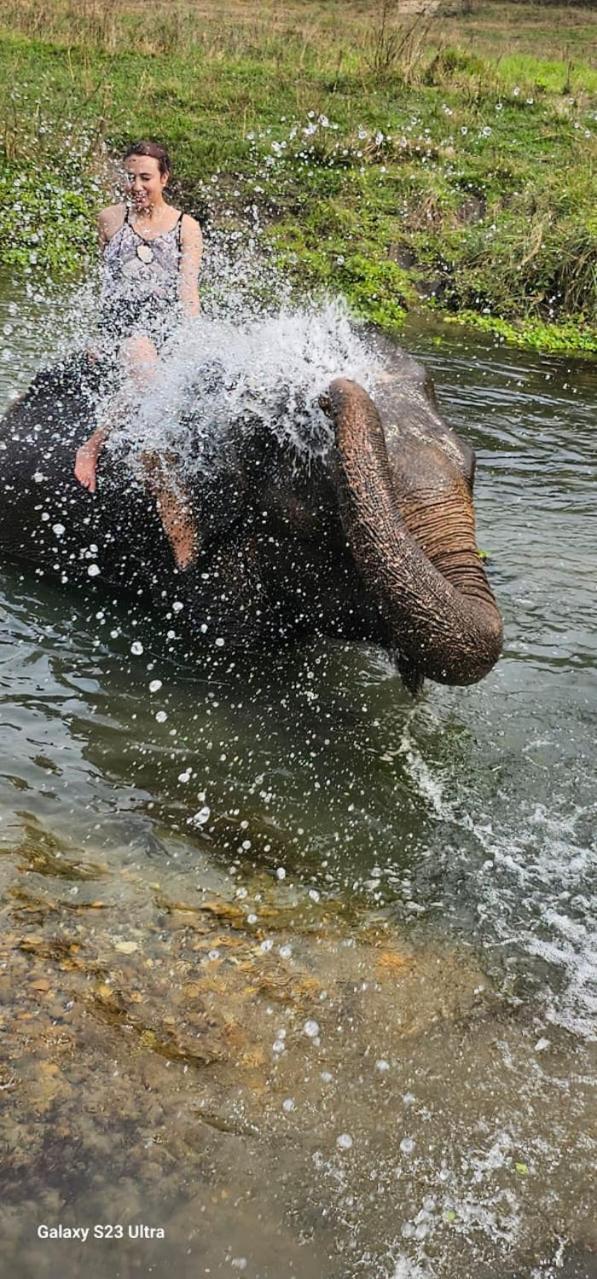 Sisai Park Village Chitwan Bagian luar foto