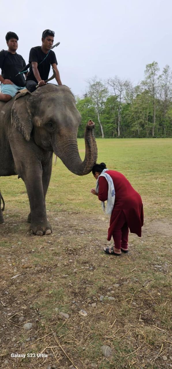 Sisai Park Village Chitwan Bagian luar foto